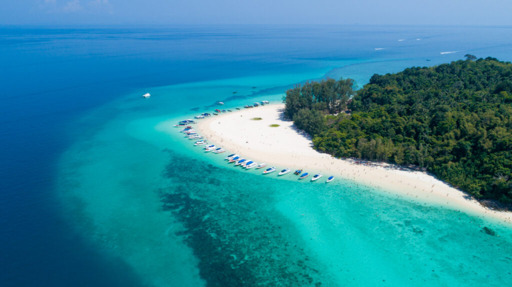 Бамбуковый остров 2